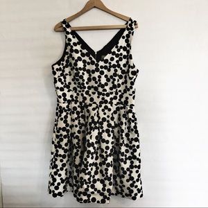 Taylor Woman Nordstrom A line Size 14